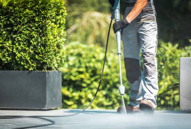 Best Graffiti Removal  in South Oroville, CA